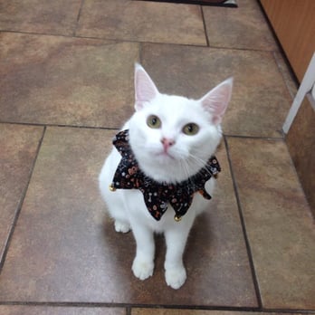 Portage Veterinary Clinic - Veterinarians Near Me - Portage, Wisconsin Portage Veterinary Clinic - Veterinarians Near Me - Portage, Wisconsin
