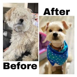 Before and after pics