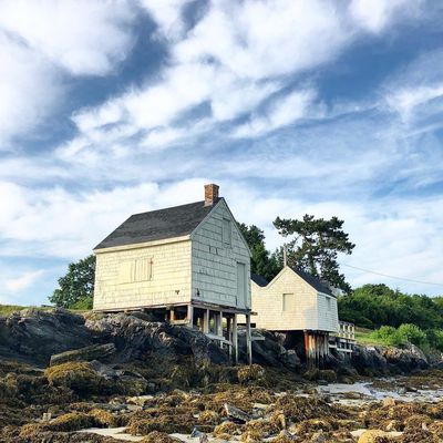 Willard Beach by null