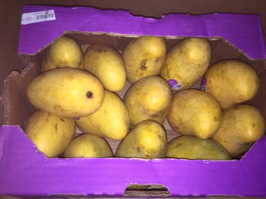 Aloha Market by null