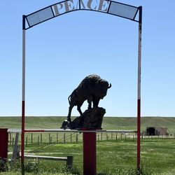 Terry Bison Ranch Resort