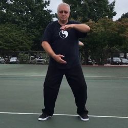 Alexander Zonshayn, MD - Taiji execercises in the park