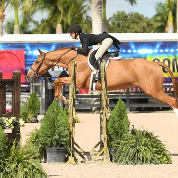 Four Gs Equestrian - Le dom and Ally - Horseback Riding Near Me