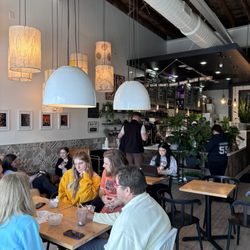 Owl And Lark - Always a buzz here