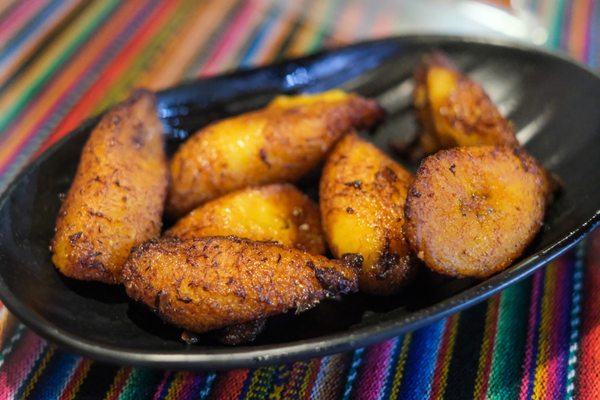 Culantro by null