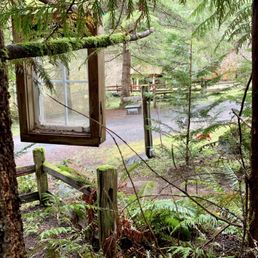 About to leave the treehouse. About to leave the treehouse.