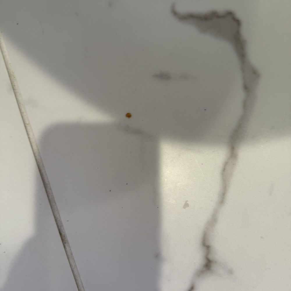 Courtyard By Marriott - Blood on the floor - Hotels Near Me - San Diego, California Courtyard By Marriott - Blood on the floor - Hotels Near Me - San Diego, California