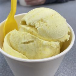 Fenik's Frozen Custard - Medium Lemon Chillo icecream