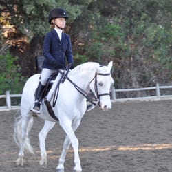 Gladstone Equestrian - Whitney and GiGi showing at Blenheim.