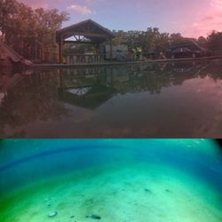 Diamond Shine Pool Care - Algae