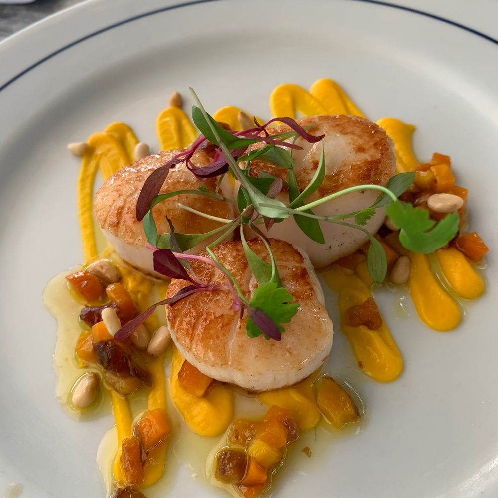 Scallops appetizer