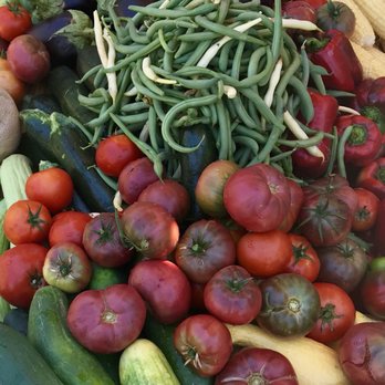 Davis Ranch, LLC - Veggies galore! - Fruits & Veggies Near Me - Sloughhouse, California Davis Ranch, LLC - Veggies galore! - Fruits & Veggies Near Me - Sloughhouse, California