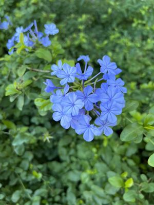 Wonder World Cave & Adventure Park by null