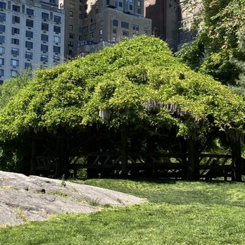 Cop Cot - Spotted from below 05/15/21 - Parks Near Me - New York, New York