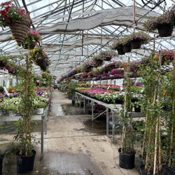 Thompson Bros Greenhouse