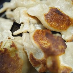 Taste of Poland JC - Pierogi with potato and cream cheese