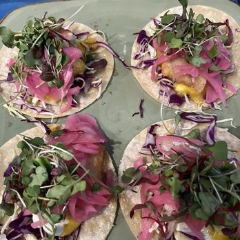 Fish Gaucho - Halibut tacos - Mexican Near Me - Paso Robles, California