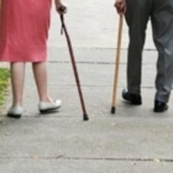 Access Abilities - Canes and crutches rental toronto mississauga oakville