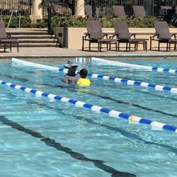 Swim with Mike Arentz