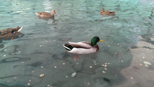 Kaiser Permanente Baldwin Park Medical Center by null