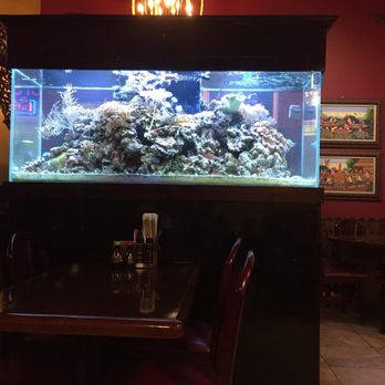 Tub Tim Thai Restaurant - Thai Near Me - Wellington, Florida Tub Tim Thai Restaurant - Thai Near Me - Wellington, Florida