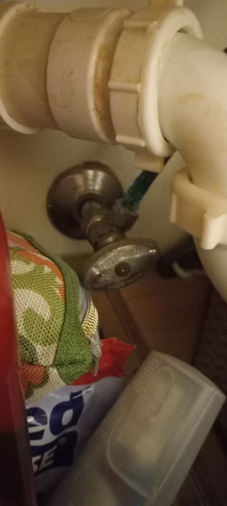 Slide of Senor Rooter