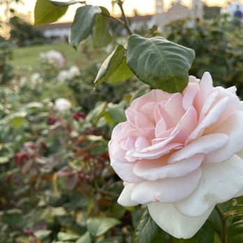 Mission Historical Park - Beauty without the beast - Parks Near Me - Santa Barbara, California Mission Historical Park - Beauty without the beast - Parks Near Me - Santa Barbara, California