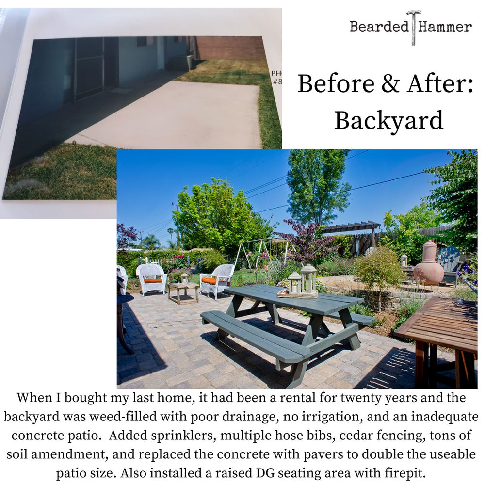 Slide of Bearded Hammer