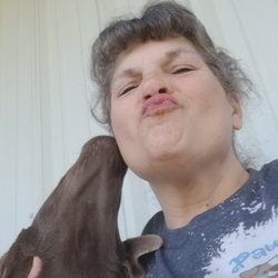 Paws Up Pet & Housesitting