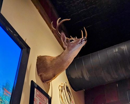 Saltgrass Steak House by null