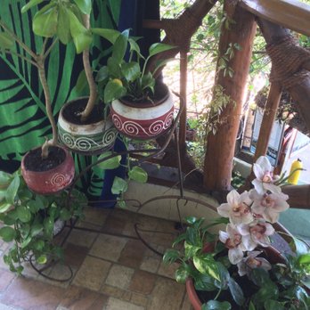 Natura - Vegetarian Near Me - Cancún, ROO
