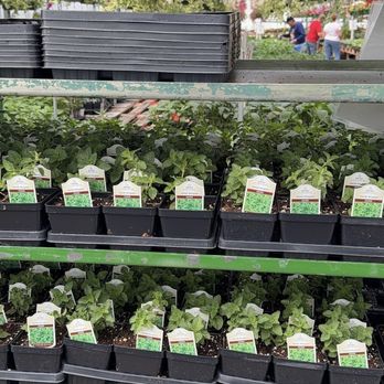 Glick's Greenhouse - Nurseries & Gardening Near Me - Oley, Pennsylvania