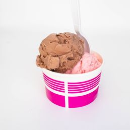Double Scoop Ice Cream
