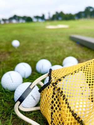 Bayonet & Black Horse by null