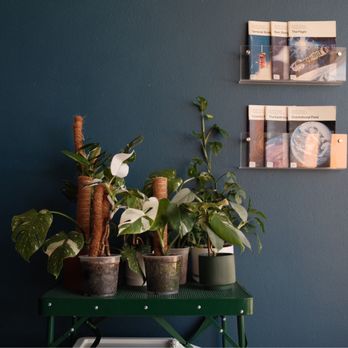 Fireproof Coffee - Coffee & Tea Near Me - Redlands, California