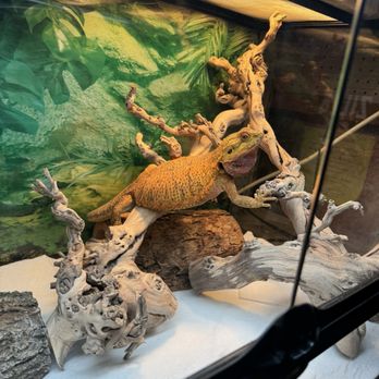 Pet Bazaar - Pet Stores Near Me - Casselberry, Florida