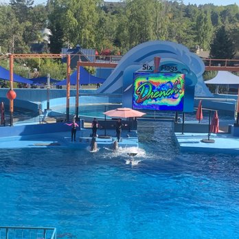 Six Flags Discovery Kingdom - Dolphin "Drench" show - Amusement Parks Near Me - Vallejo, California Six Flags Discovery Kingdom - Dolphin "Drench" show - Amusement Parks Near Me - Vallejo, California