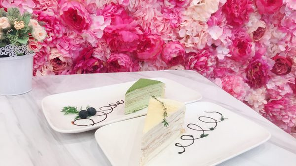 Sweet Cats Cafe by null