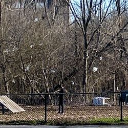 Warnimont Dog Park