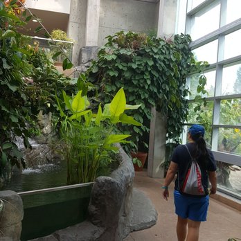 Denver Botanic Gardens - Inside the large glass building. Make sure you visit here - Botanical Gardens Near Me - Denver, Colorado
