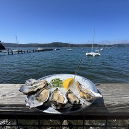 Raw Oysters Raw Oysters