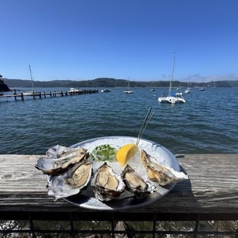 The Marshall Store - Raw Oysters - Seafood Near Me - Marshall, California The Marshall Store - Raw Oysters - Seafood Near Me - Marshall, California