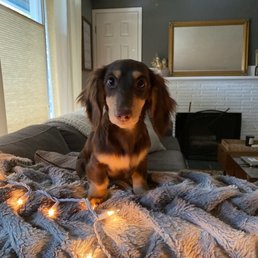 Oakley