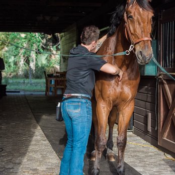 Farmhouse Chiropractic - Chiropractors Near Me - Ocala, Florida