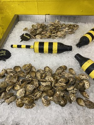 Free Range Fish & Lobster by null