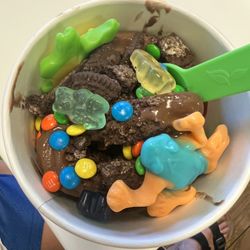 Nuyo Frozen Yogurt - My son really went all out on the tasty toppings.