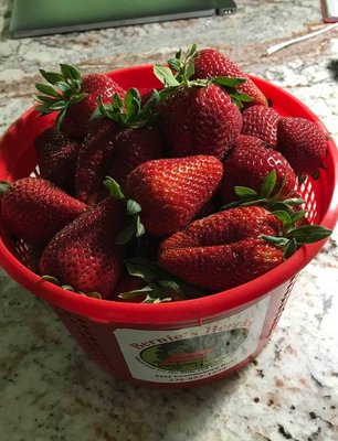 Bernie's Berries & Produce by null
