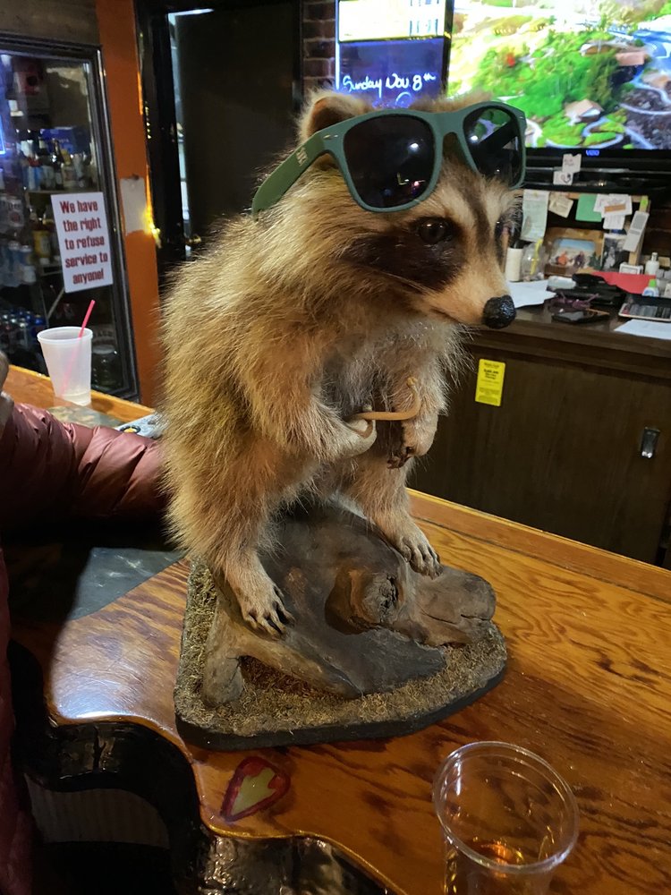 OL’GUNSLINGERS 203 Twin Brooks Rd, Twin Brooks, South Dakota