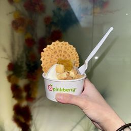 Take Home Frozen Yogurts with Toppings