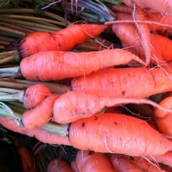 Woodstock Farm Festival